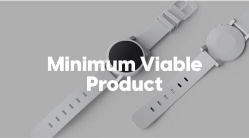 Minimum viable product
