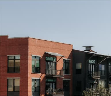 Case Study - mica rino