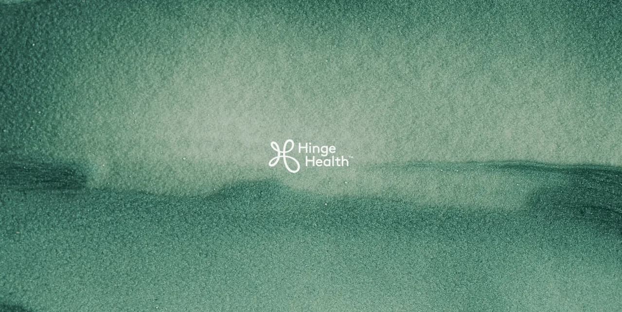 healthcare now at your fingertips