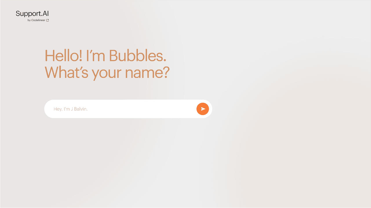 Tell us more about yourself before trying out Support.AI.