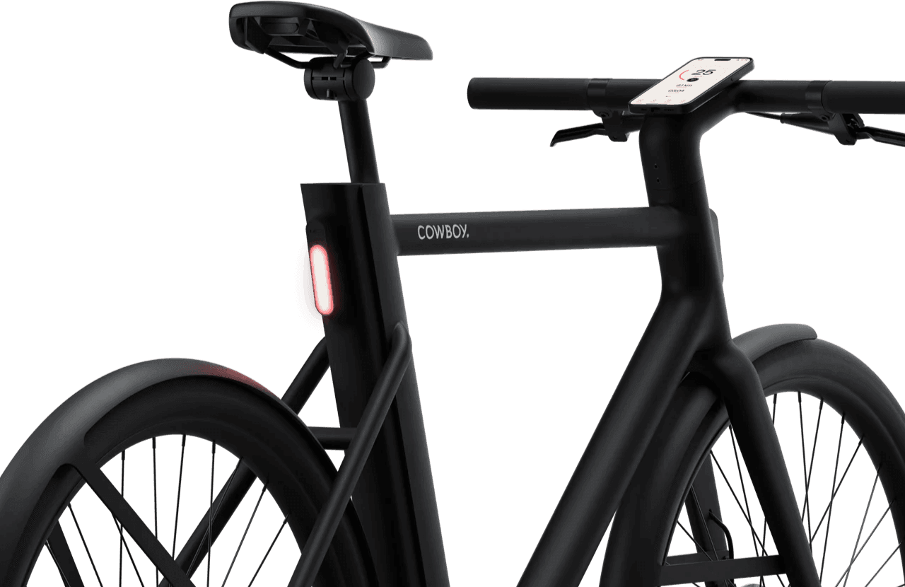 Client project details