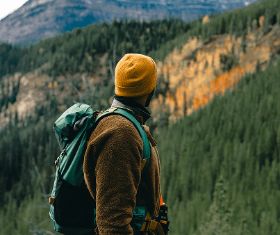 Case Study - IEA Training