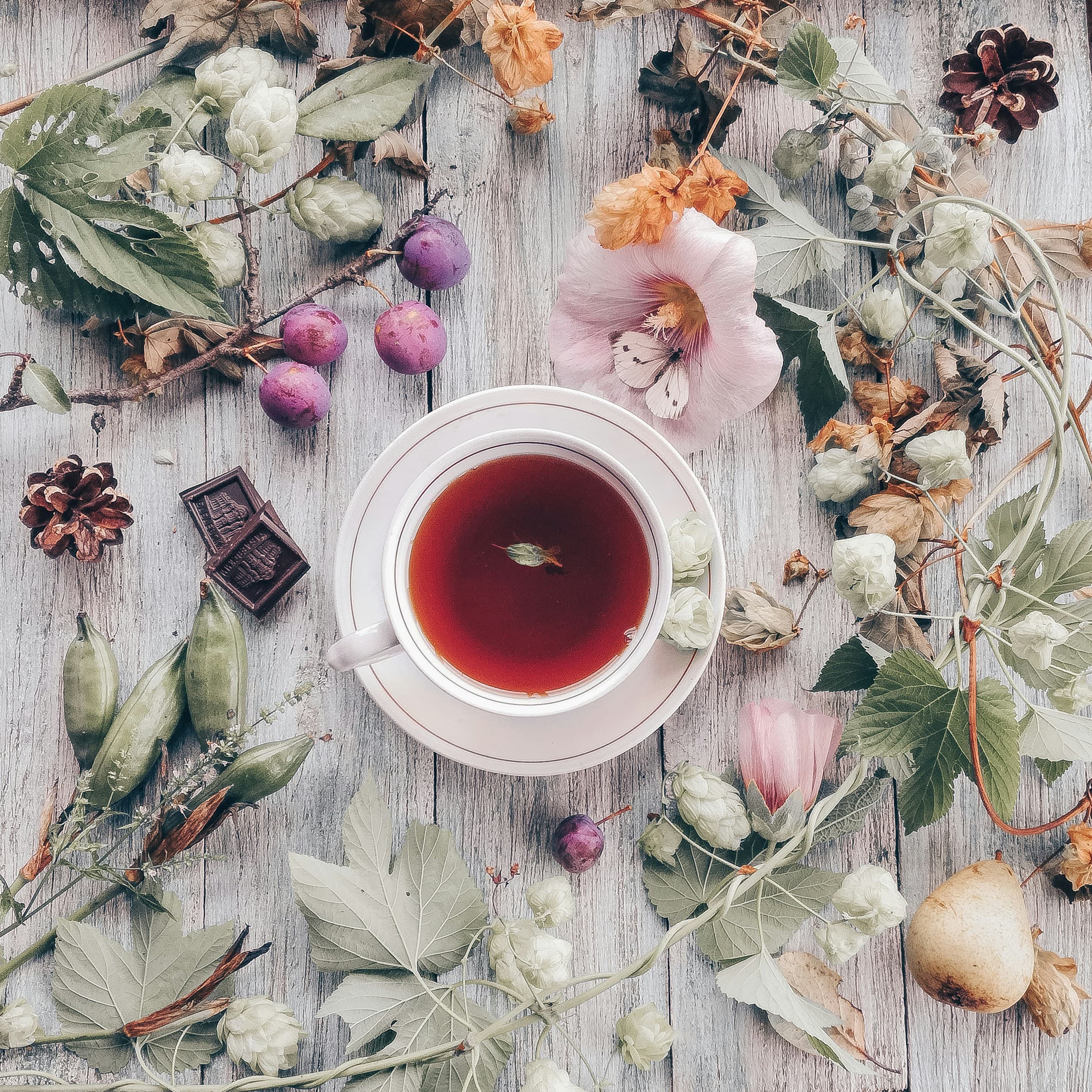 eCommerce experience for a specialty tea and subscription business.
