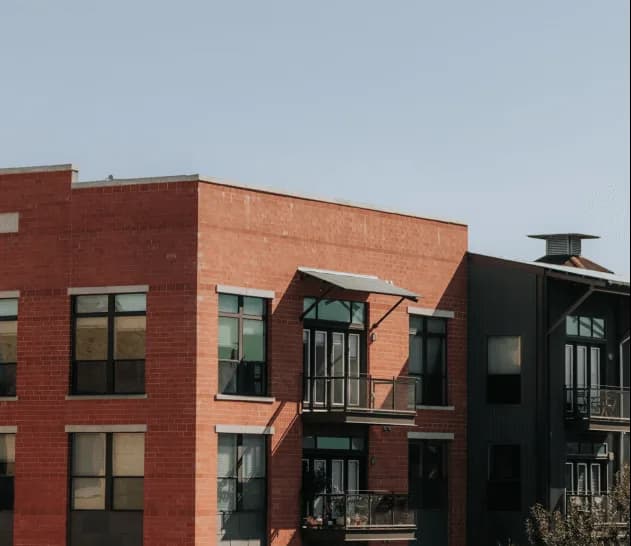 Case Study - mica rino