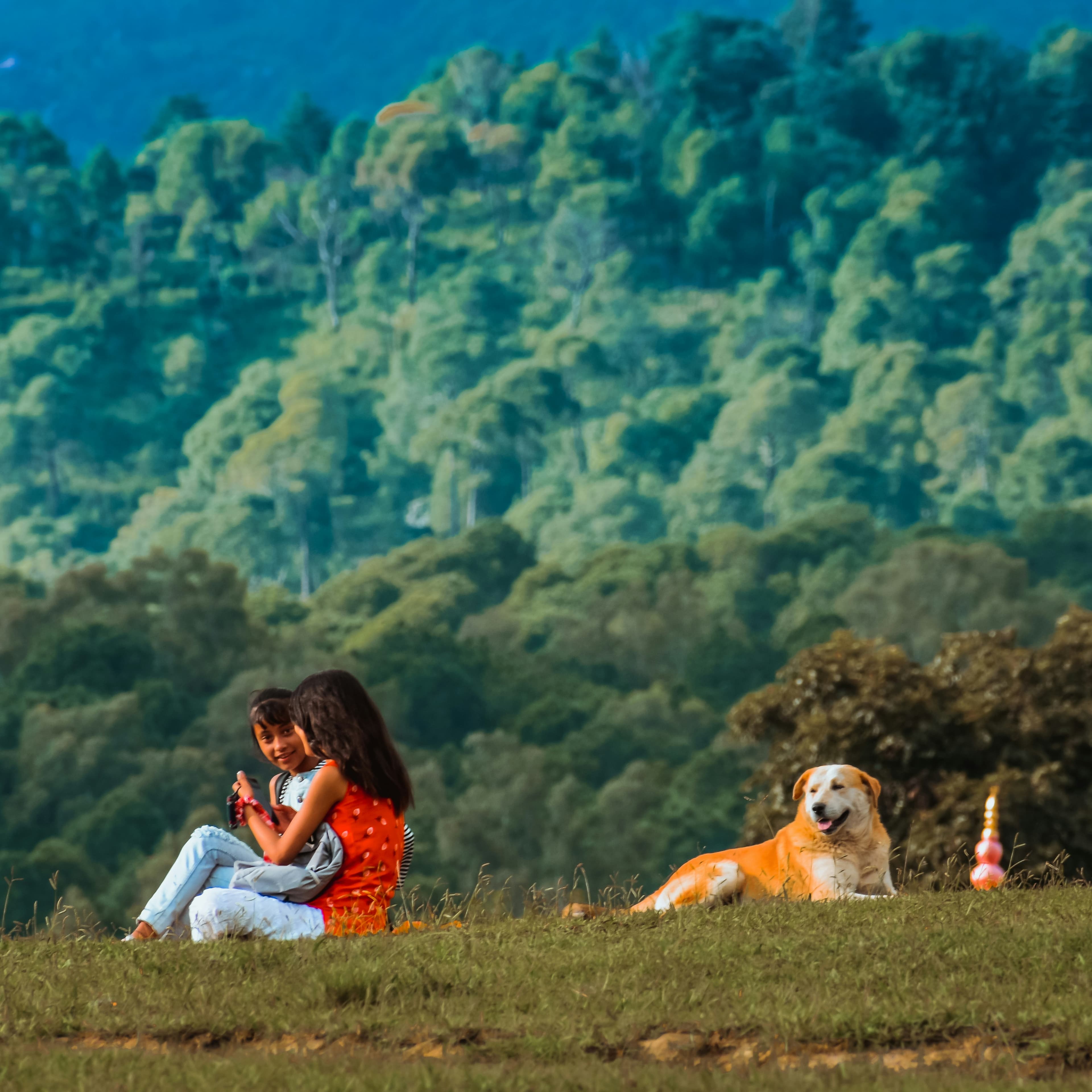 Consumer, Family & Pet